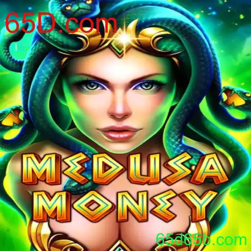 Explorando o Mundo de MedusaMoney: Regras e Dinâmica de Jogo